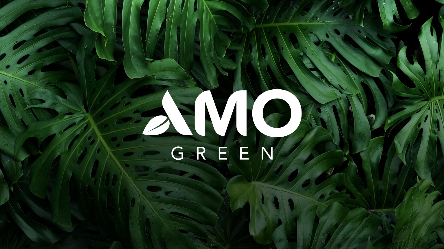 Amo Green